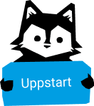 Uppstartsfasen